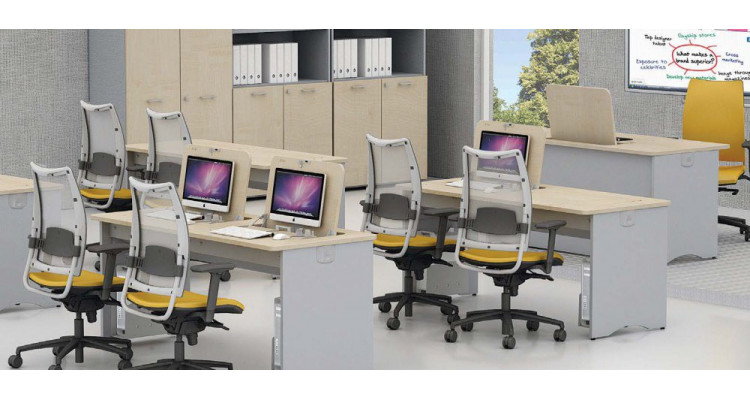 Plus Edu 2